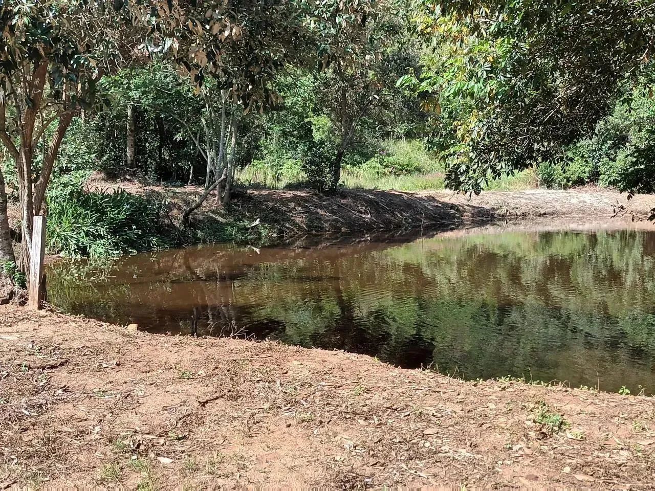 Fazenda/Sítio/Chácara para venda possui 170 metros quadrados com 3 quartos - Foto 11