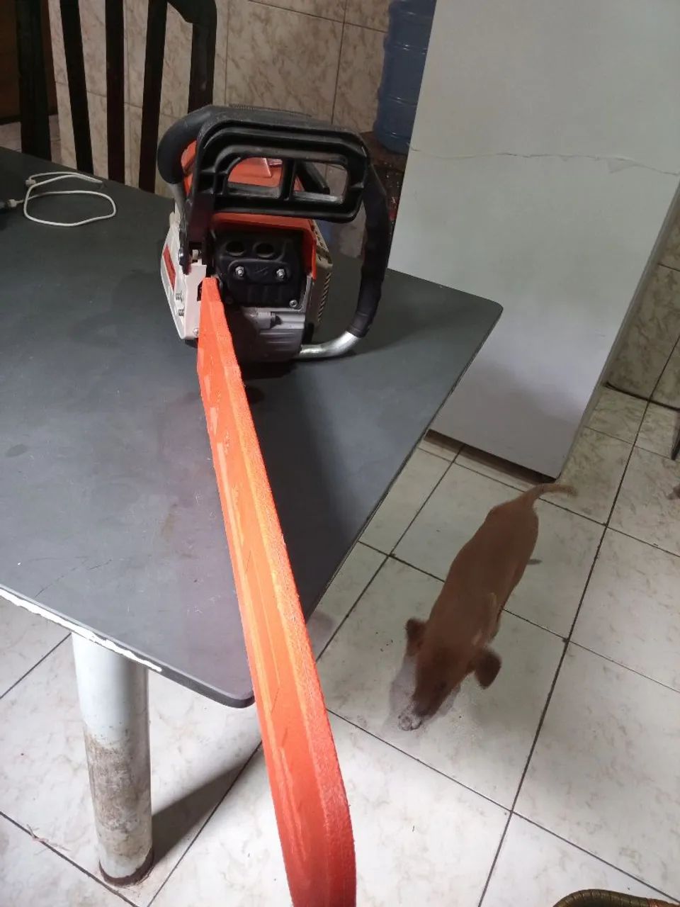 Motoserra  - Foto 4