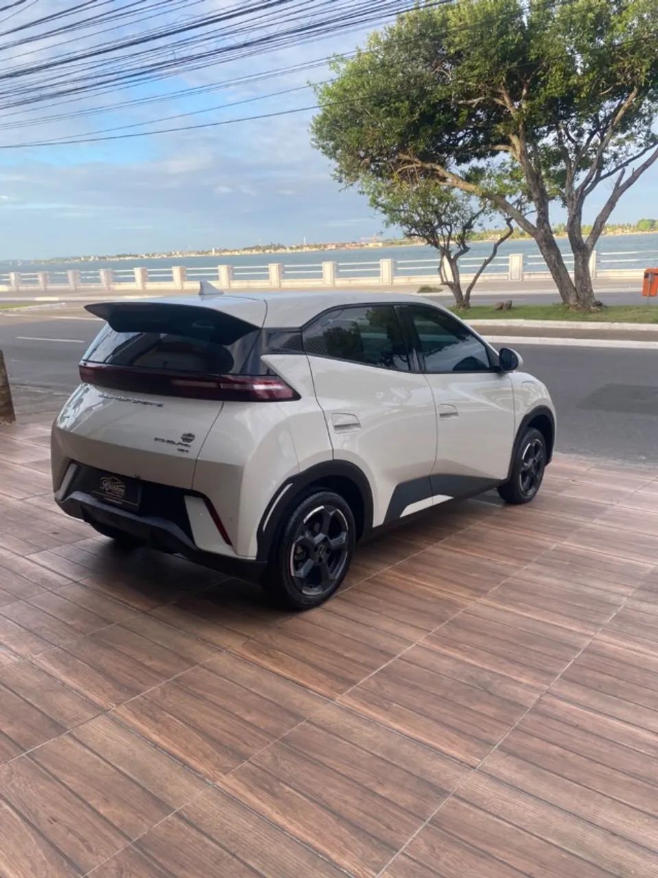 BYD Dolphin Mini (Elétrico) 2024 - Foto 4