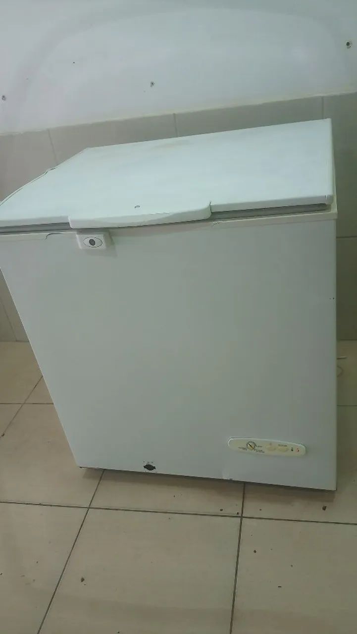 Freezer Eletrolux 309 litros