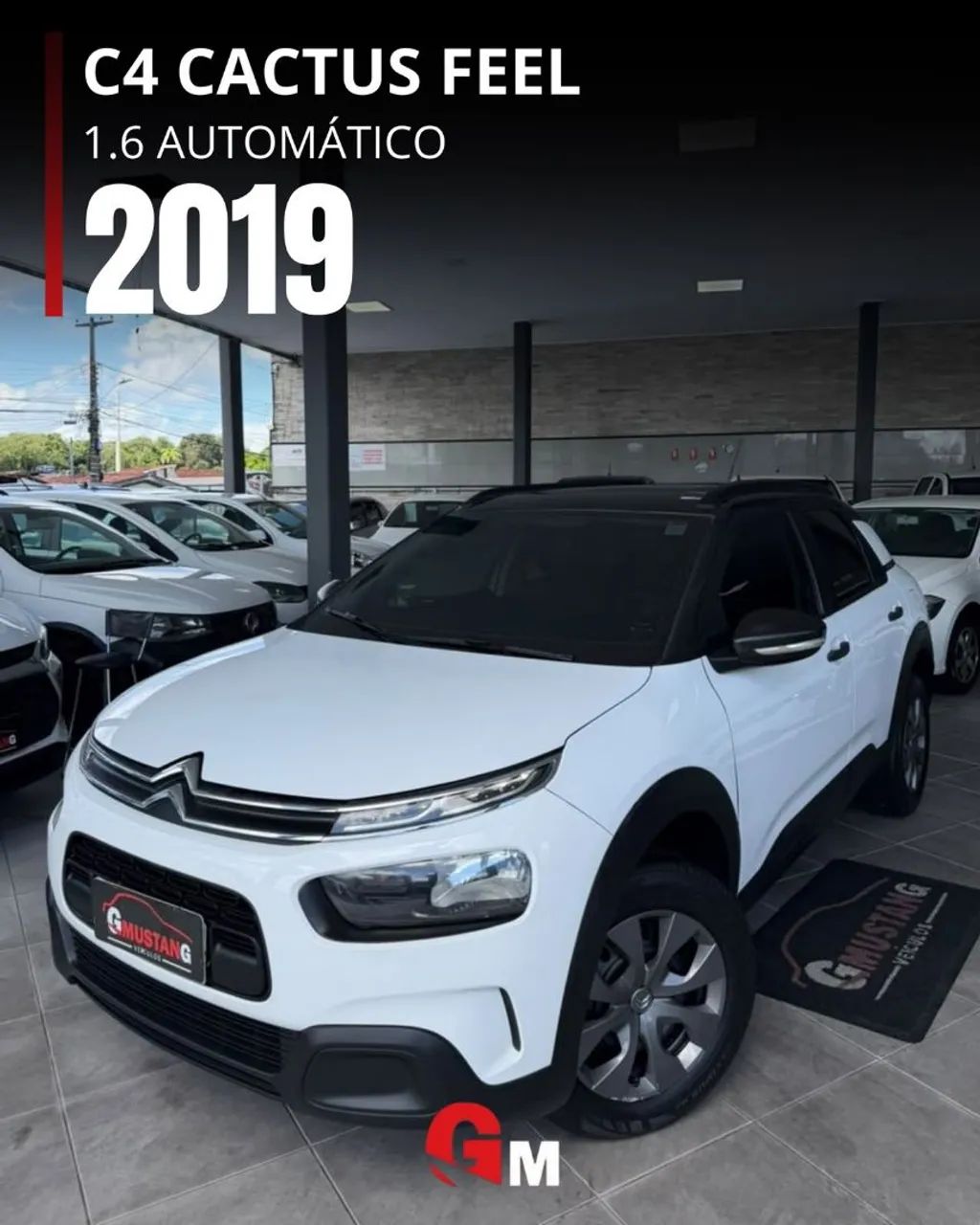 Citroën C4 C4 CACTUS FEEL Bus. 1.6 Flex Aut. 2019