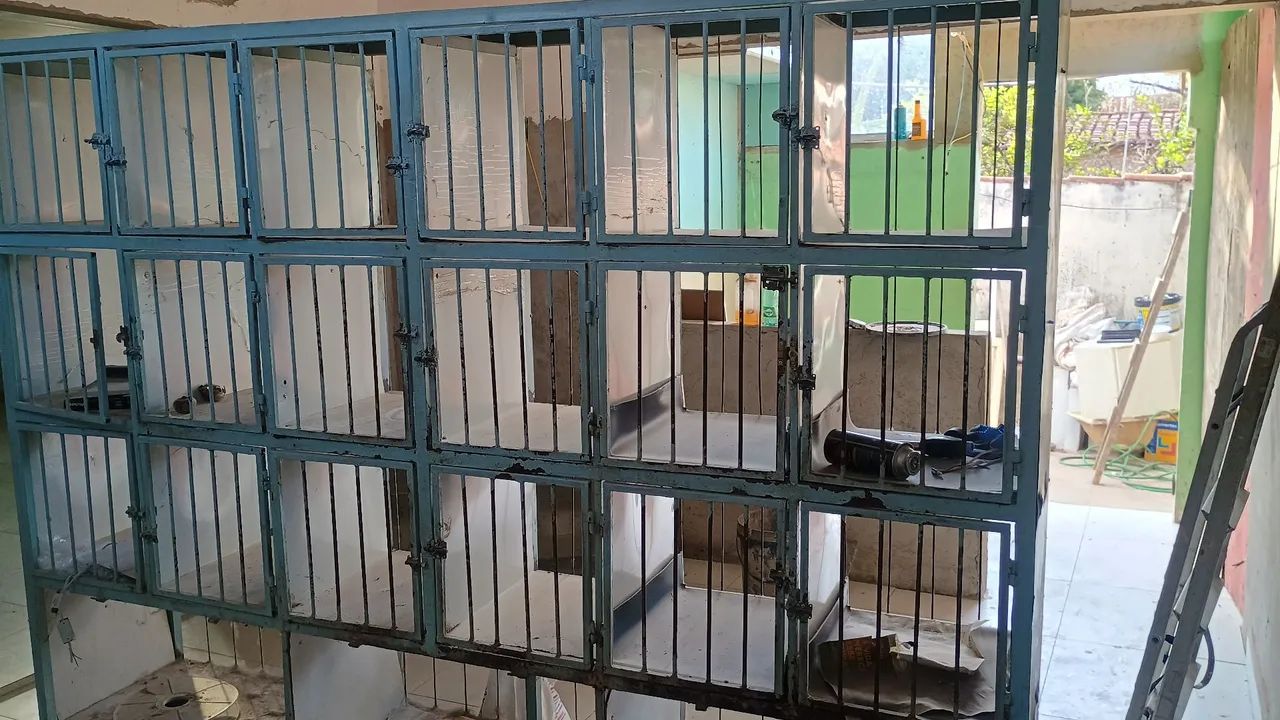Oportunidade para quem quer começar seu banho e tosa, gaiolas super reforçadas 
