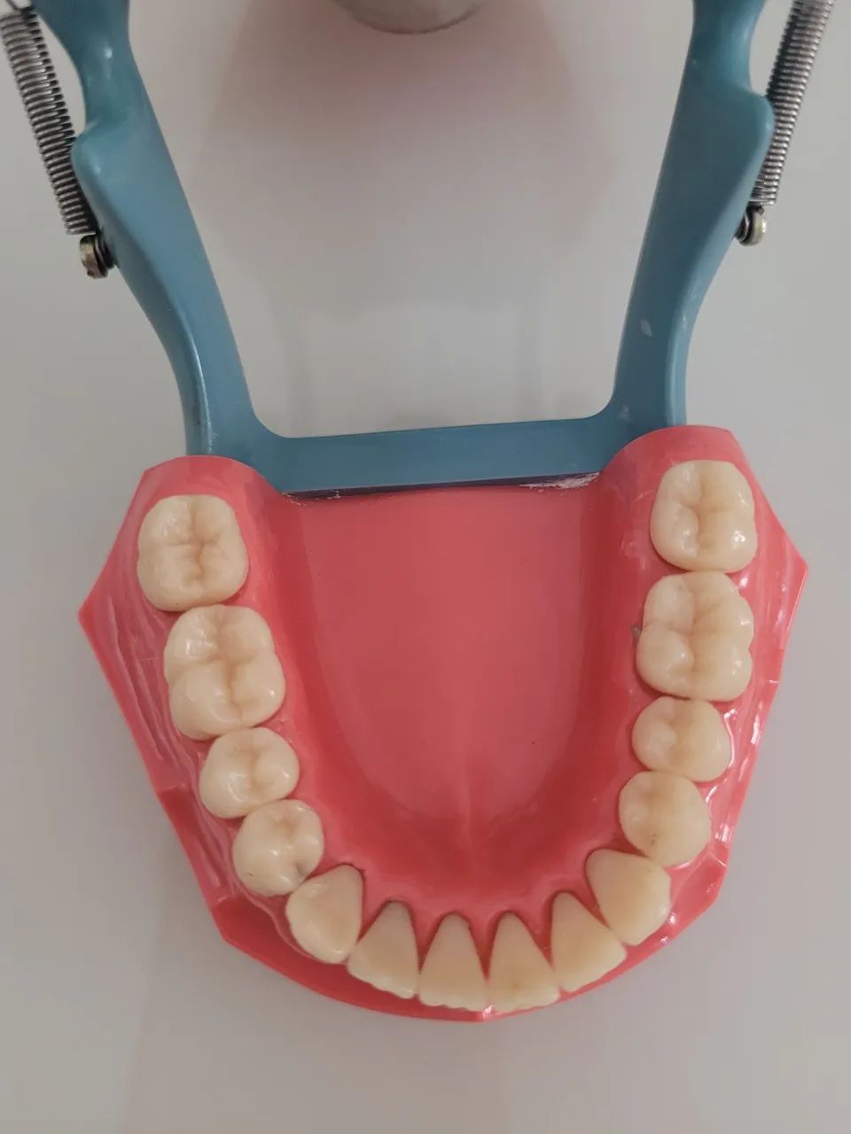 Manequim P- Oclusal de dentística  - Foto 2