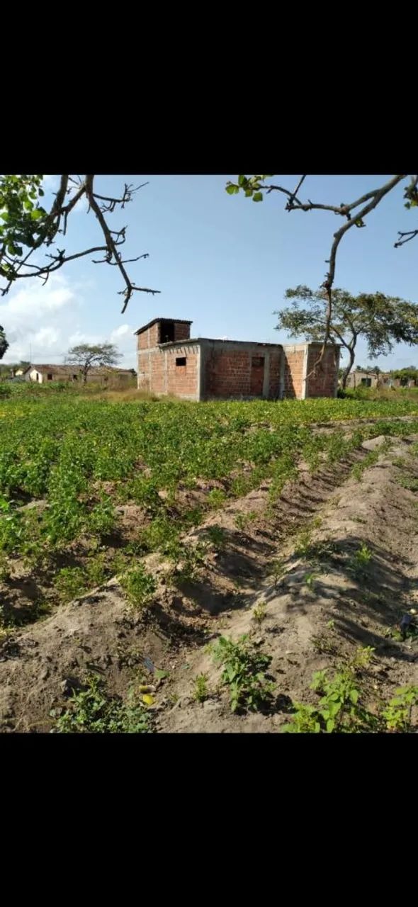 Terreno medindo 1500m2 com uma casa toda de lage 