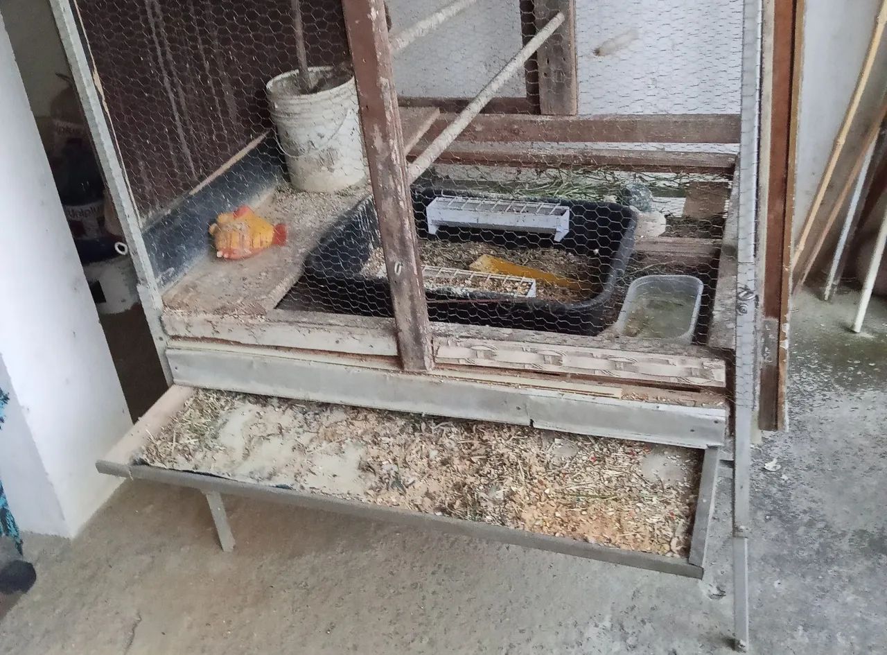 Quadrado telado  - Foto 2