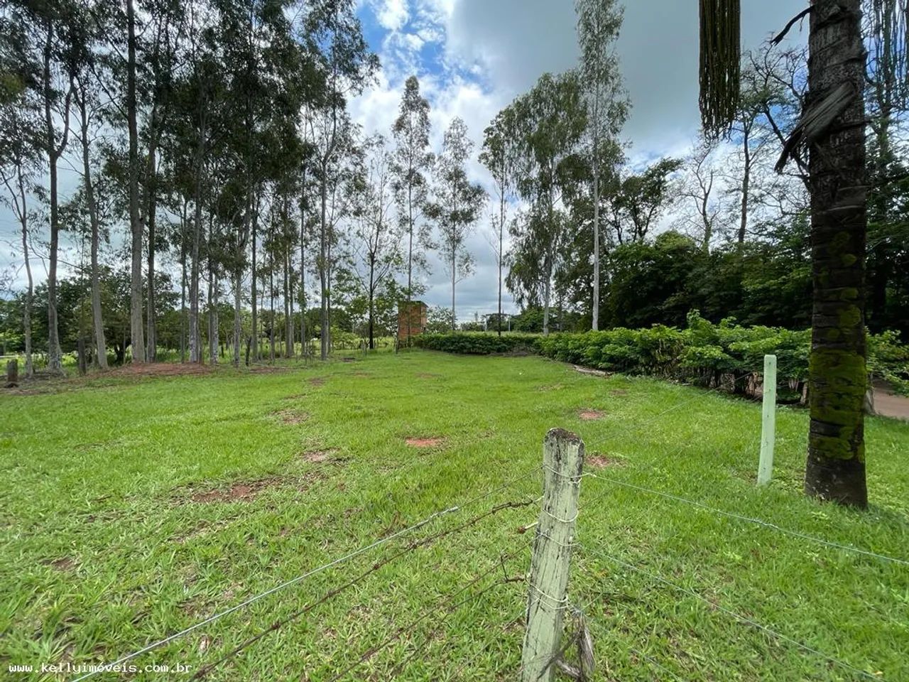Chácara para Venda em Presidente Prudente / SP no bairro Área Rural - Foto 5