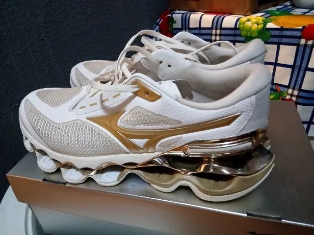 Mizuno prophecy 15