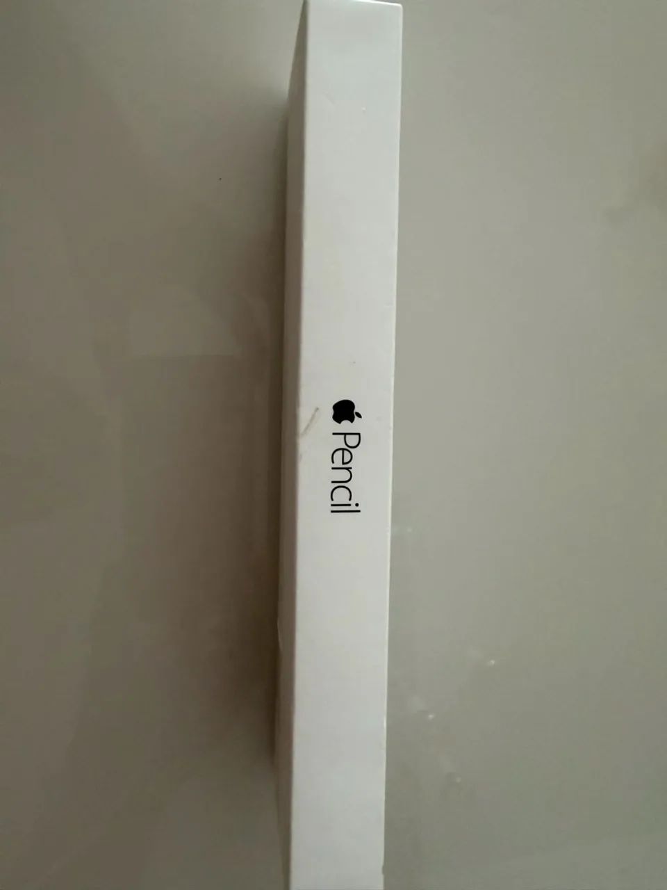 Apple Pencil 1ª Geração (A1603) com Adaptador e Caixa Original