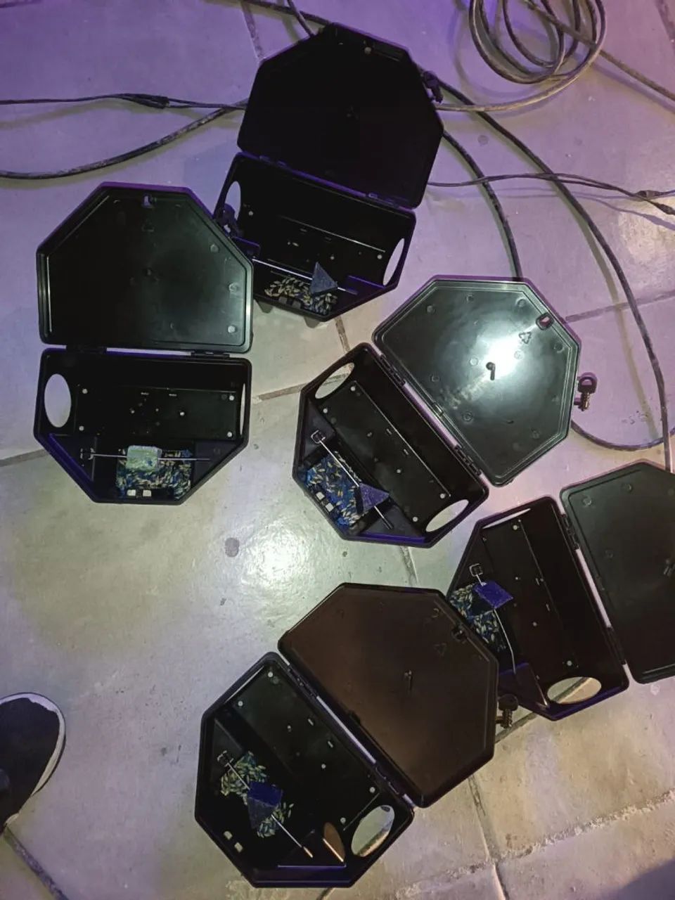 DEDETIZAÇÃO  - Foto 5