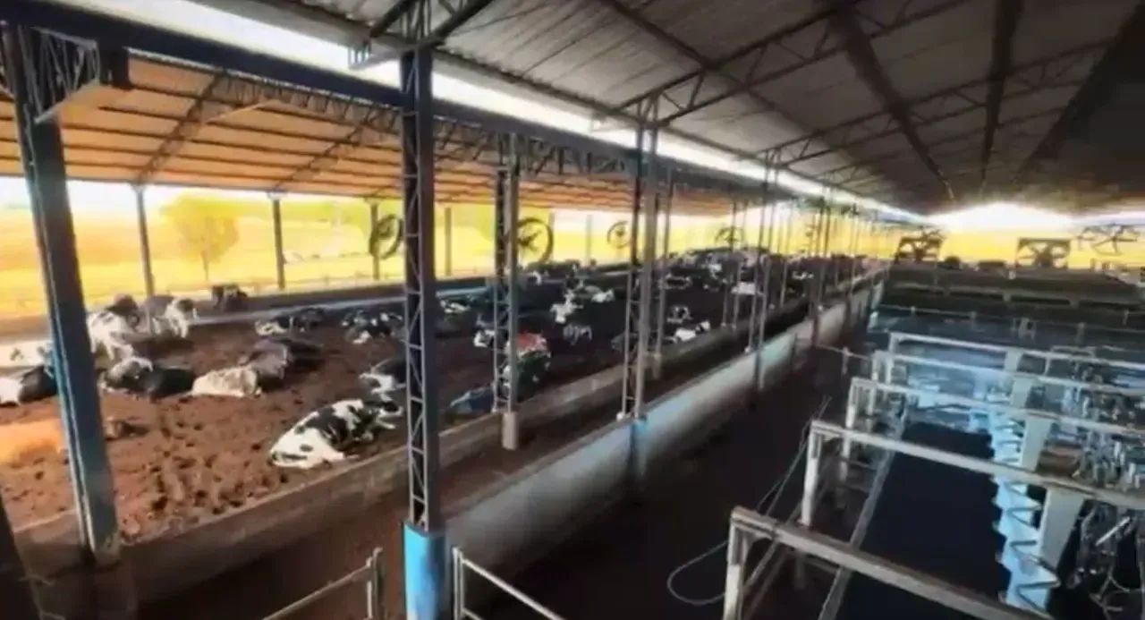 Fazenda a venda em Lagamar - Minas Gerais! - Foto 3