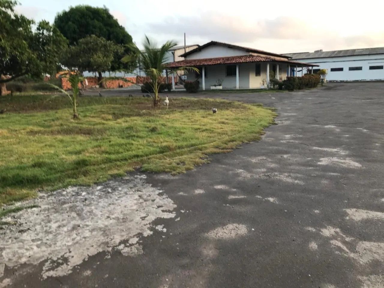 GALPAO COMERCIAL em SÃO LUÍS - MA, DISTRITO INDUSTRIAL - Foto 5