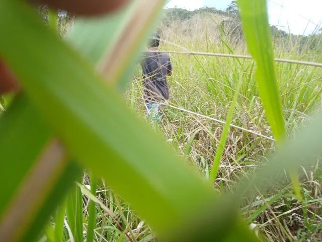  Fazenda  a venda   - Foto 5