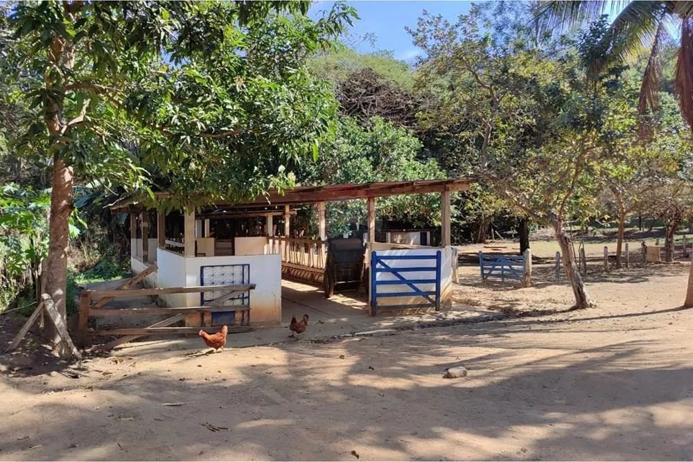 Sítio à venda - Sapucaia-RJ - Foto 4