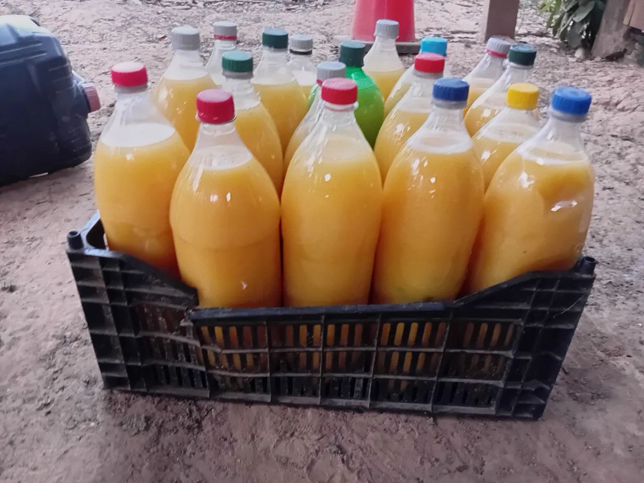 tucupi