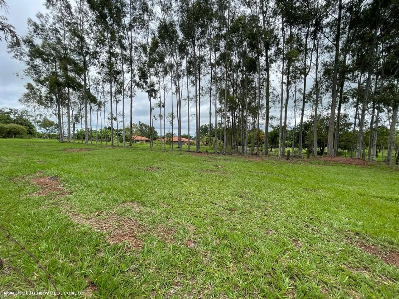 Chácara para Venda em Presidente Prudente / SP no bairro Área Rural - Foto 7