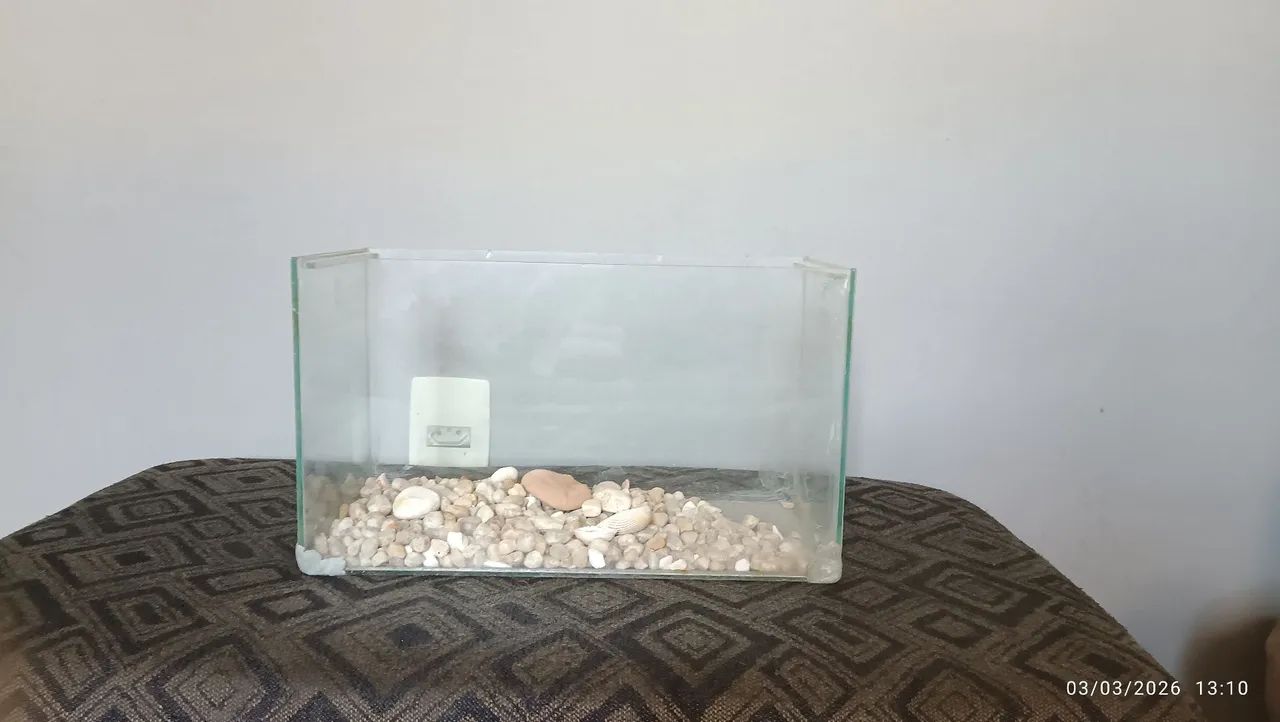 Aquário Compacto - Cabe em Qualquer Cantinho da Casa