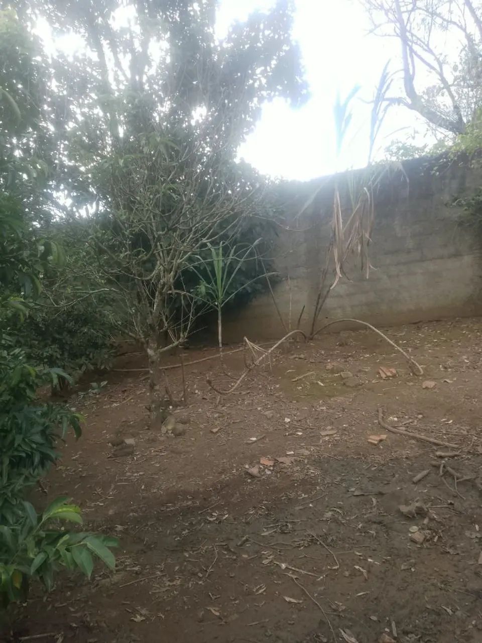 Chácara em Ibiúna há 4 km da cidade  - Foto 2