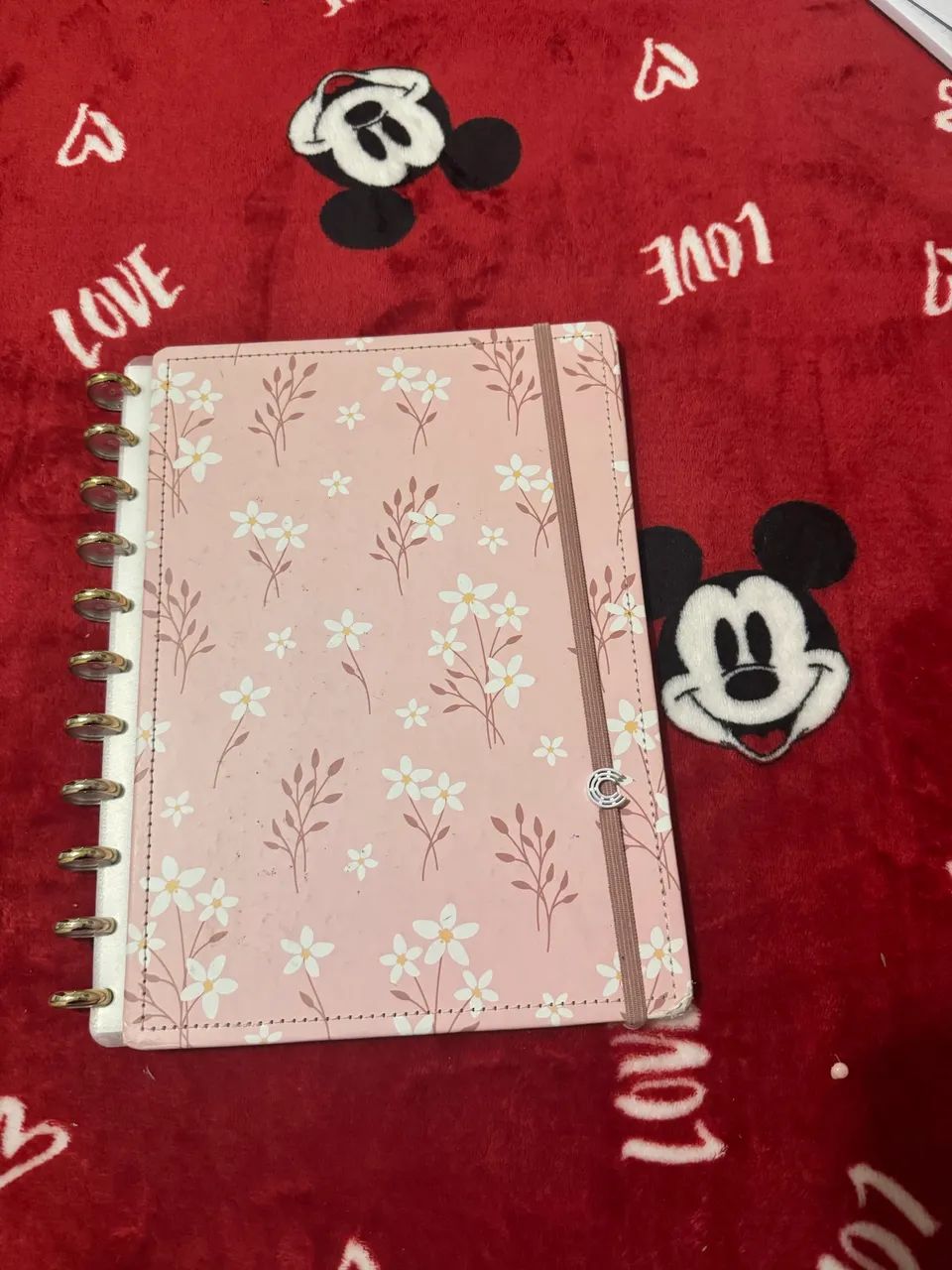 Caderno inteligente (sem folhas) 
