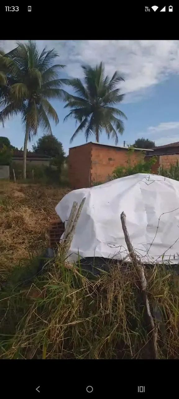 Terreno em areia branca  - Foto 2