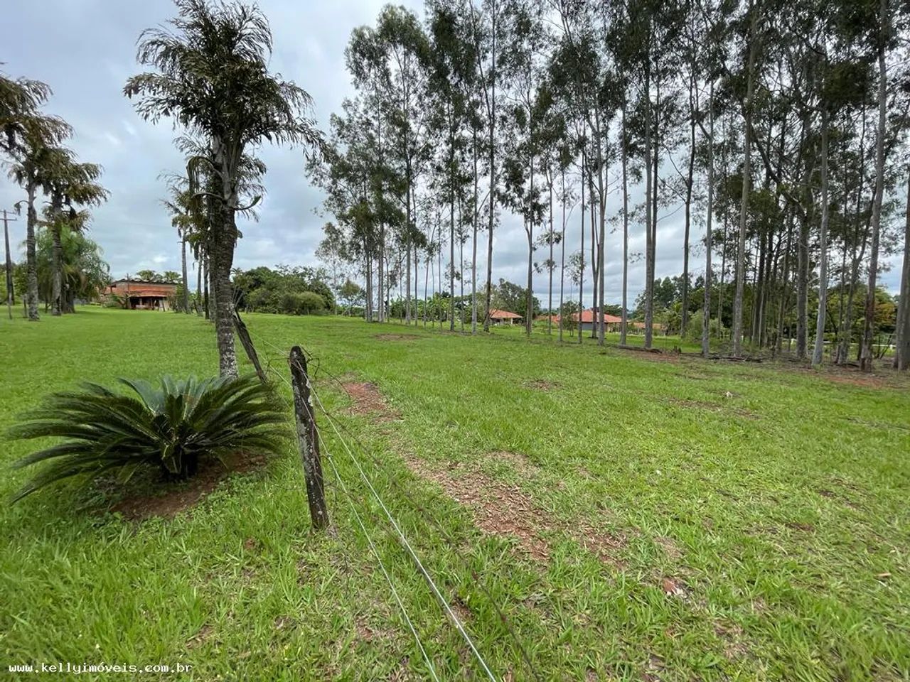 Chácara para Venda em Presidente Prudente / SP no bairro Área Rural - Foto 8
