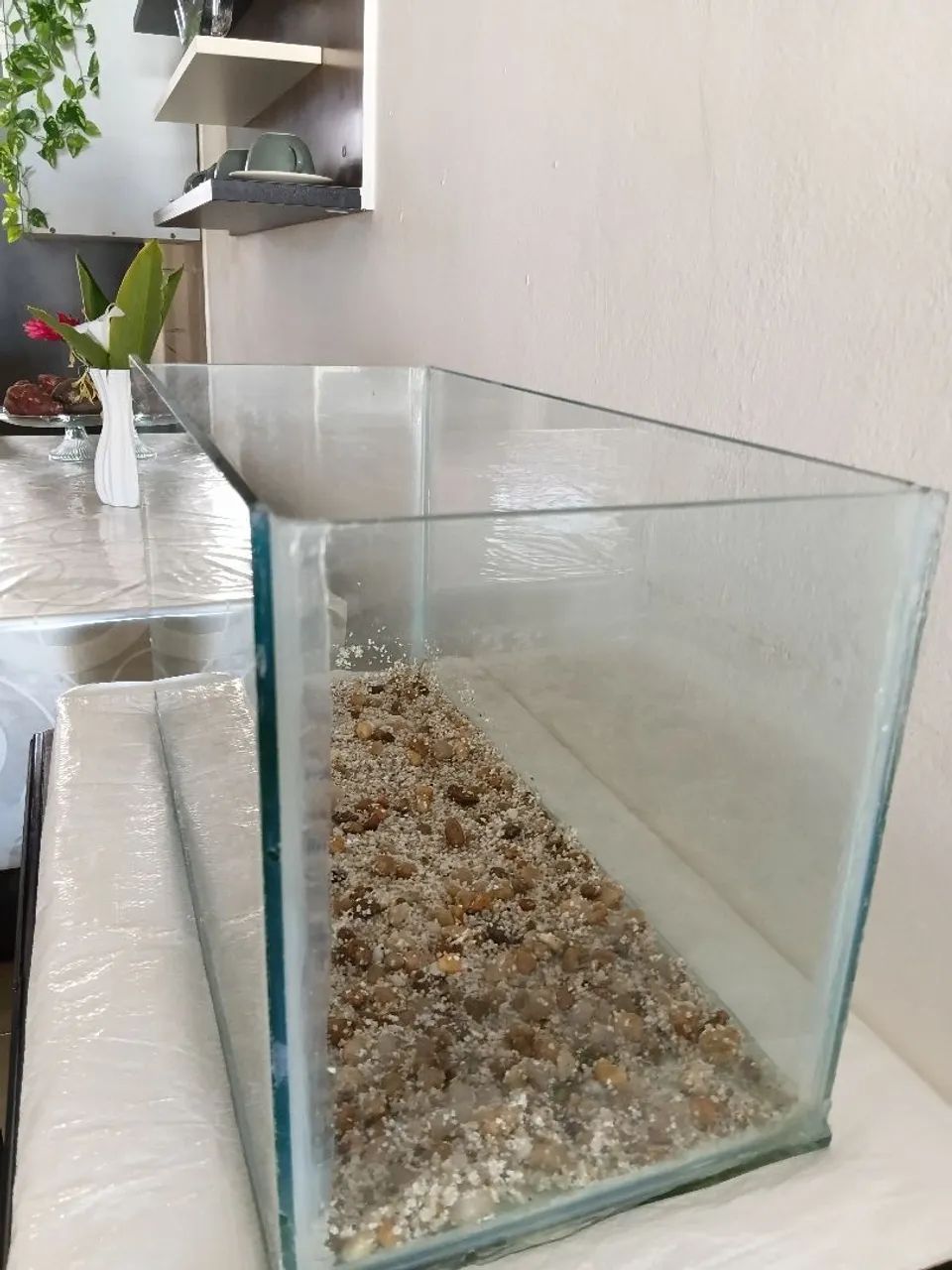 Aquário  - Foto 2