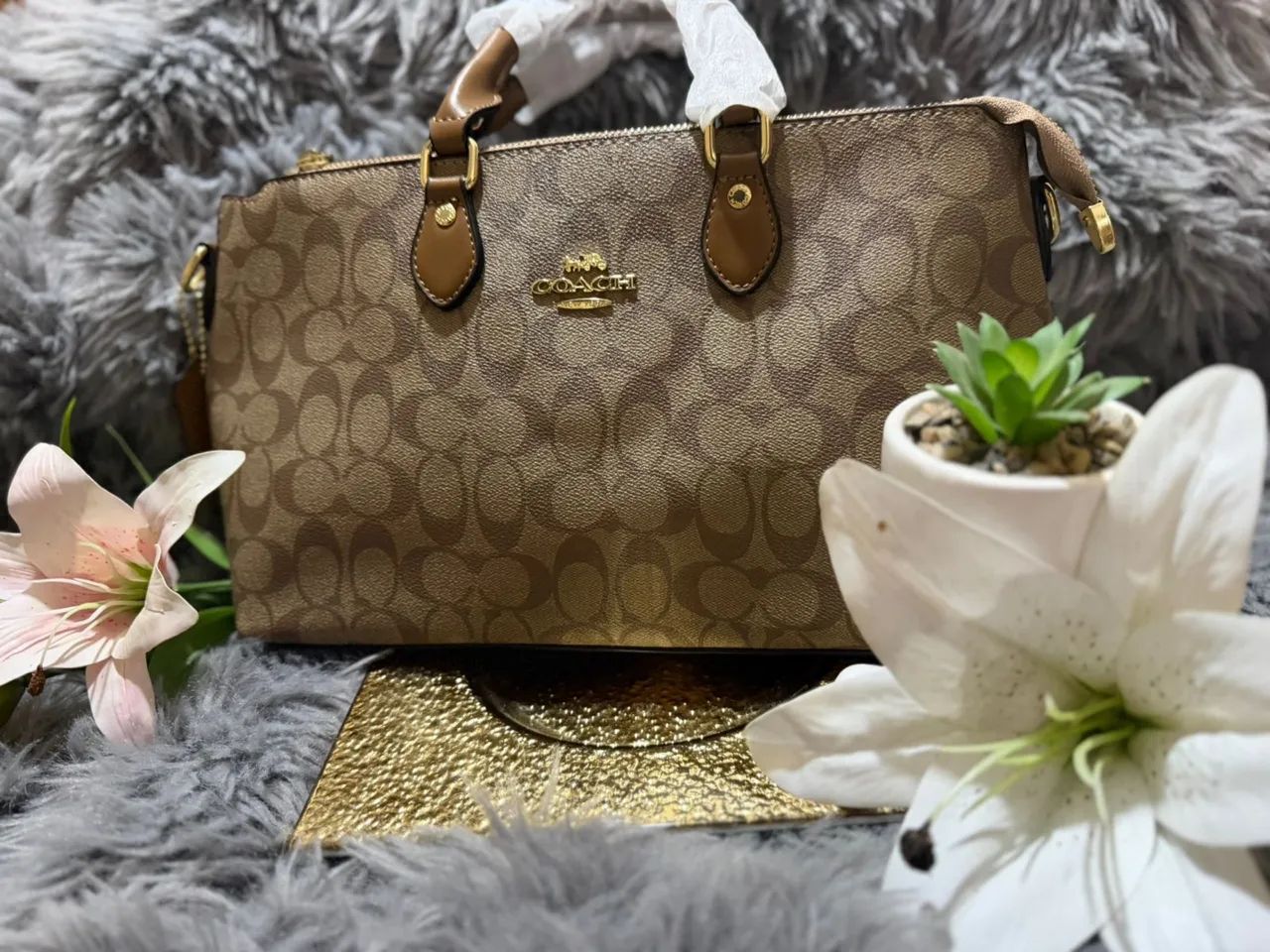 Bolsas primeira linha  - Foto 2