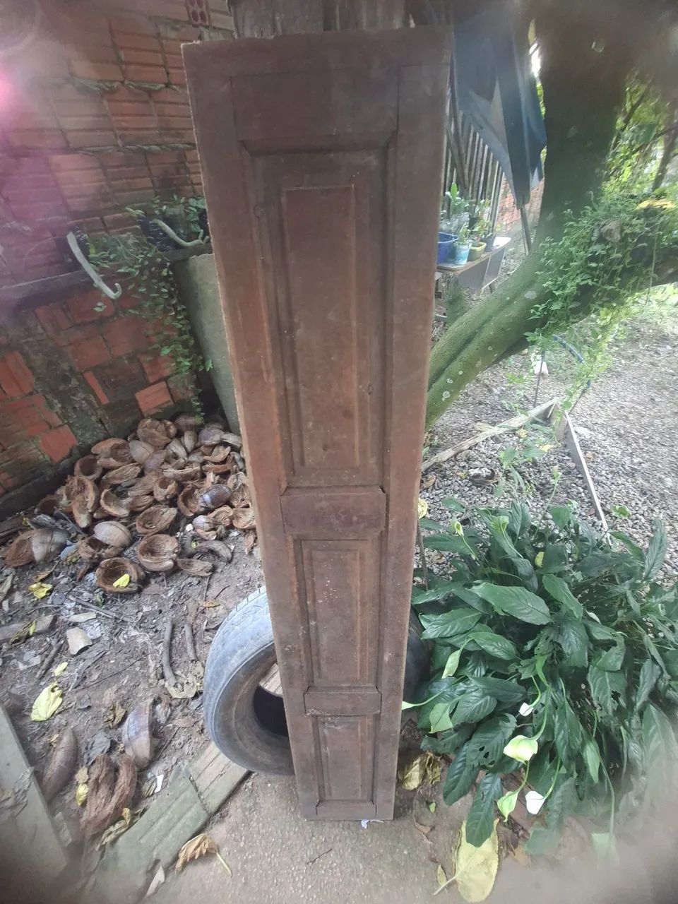 Porta  - Foto 3