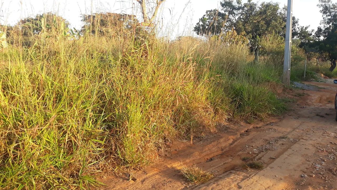 Ferro de telhado  - Foto 3