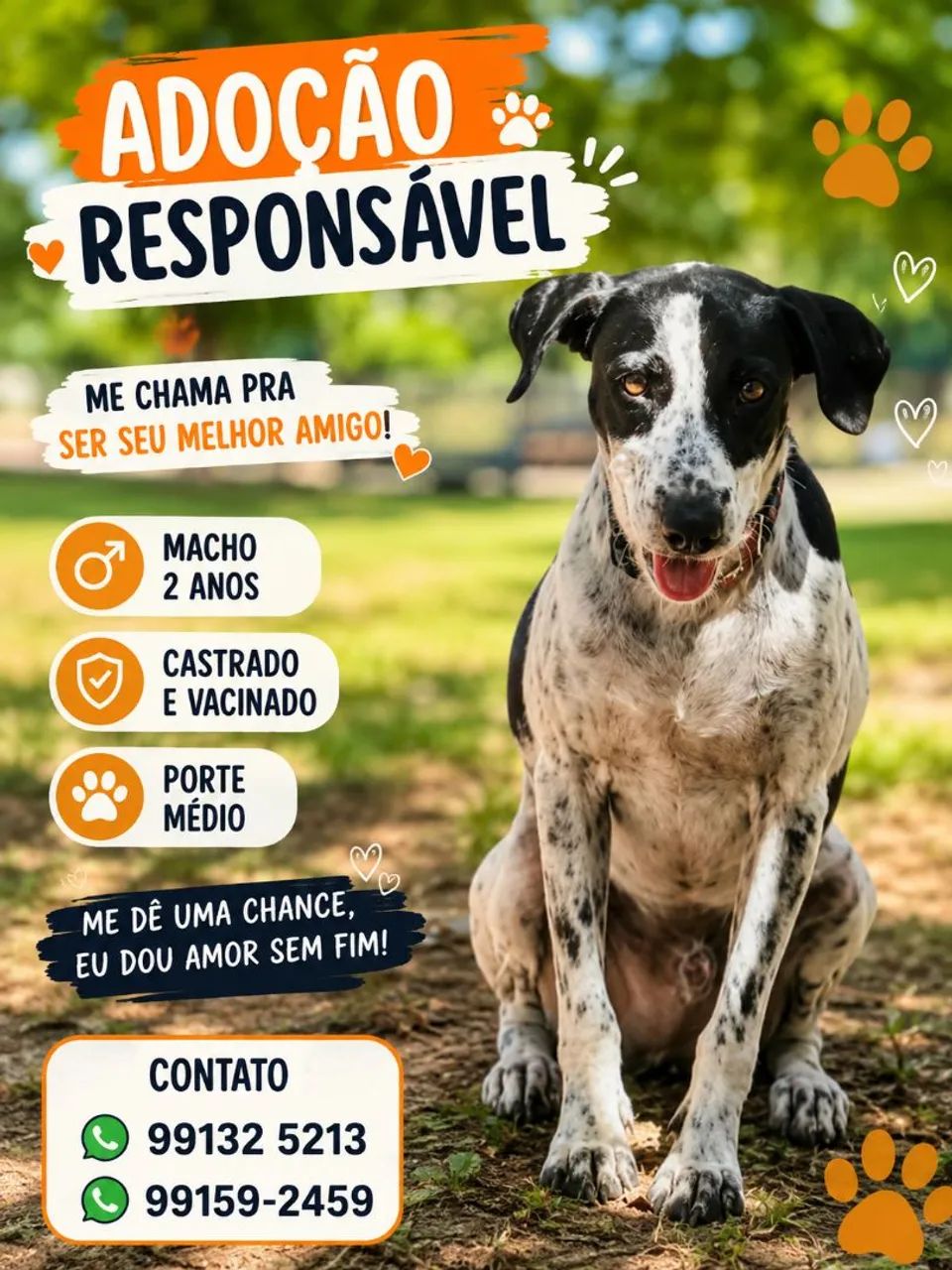 Adoção responsável 