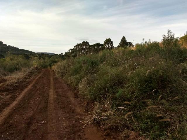 Fazenda para plantio - Foto 5