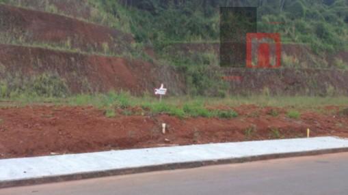 Terreno residencial à venda, Jardim Sofia, Joinville.
