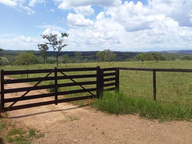Vendo chácara no município de caldas novas - Foto 2