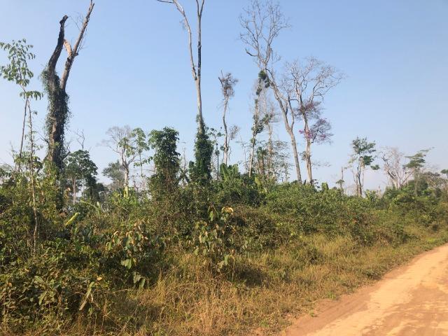 Ocasião.500 hectares, terra plantio de Soja, região vale guaporé- MT - Foto 2