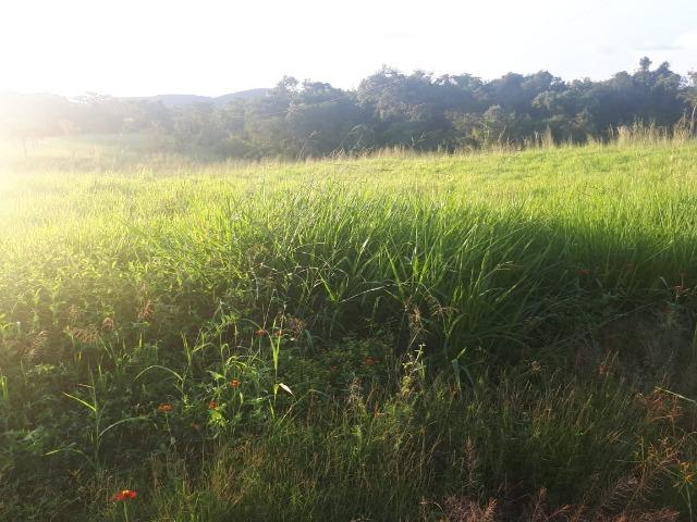 Sitio próximo do manso - Foto 2