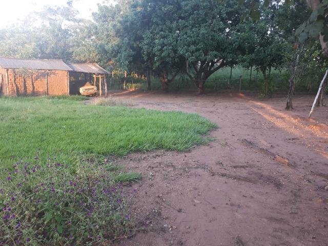 Sitio próximo do manso - Foto 17