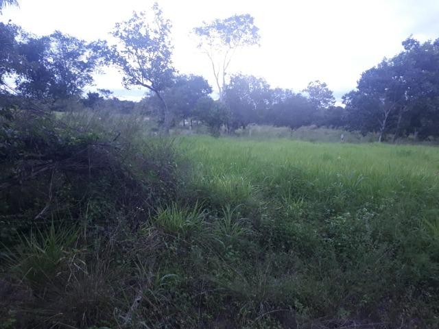 Sitio próximo do manso - Foto 16