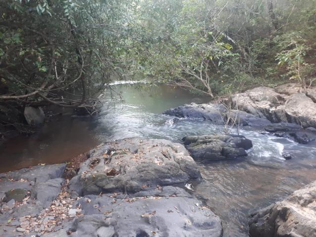 Sitio próximo do manso - Foto 8