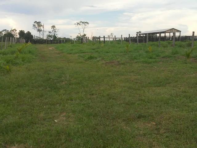 Vendesse um colônia estrada de porto acre ramal pira pora 28 km de ramal - Foto 2