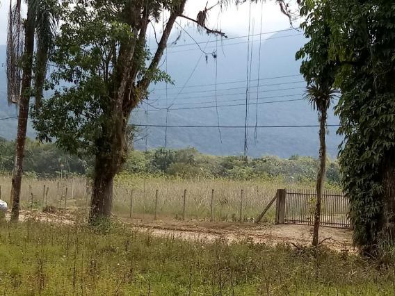 Chácara - Prox Centro - Morretes - Foto 15