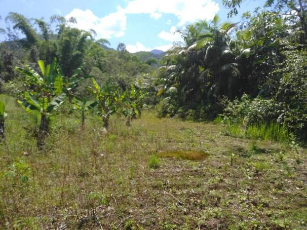 Chácara com 5.500m² - América de Cima - Morretes - Foto 2