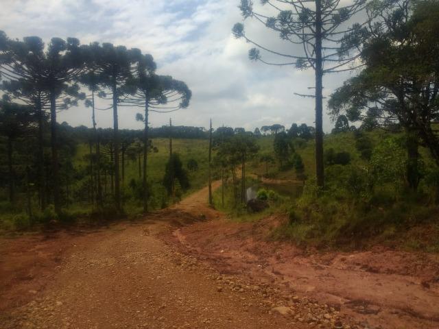 Fazenda em Tijucas do Sul -PR - Foto 14