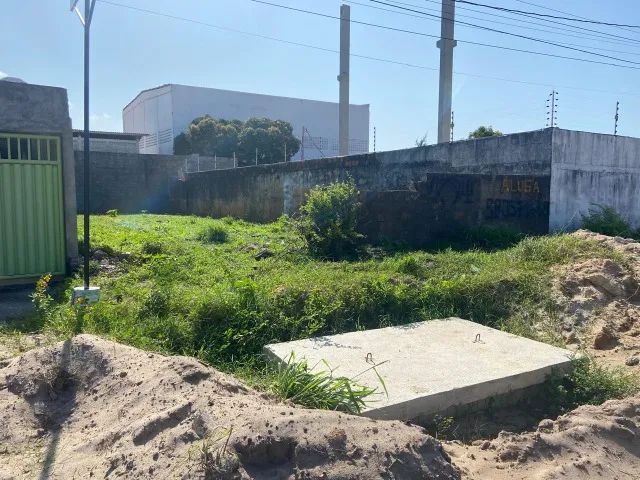 Terreno na BR - Foto 5