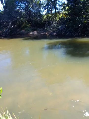 Fazenda em Lizarda. 20mil dupla aptidão. - Foto 3