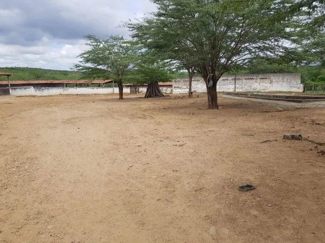 Fazenda em Belo Jardim/PE à Venda (FA0073-PV)  - Foto 4