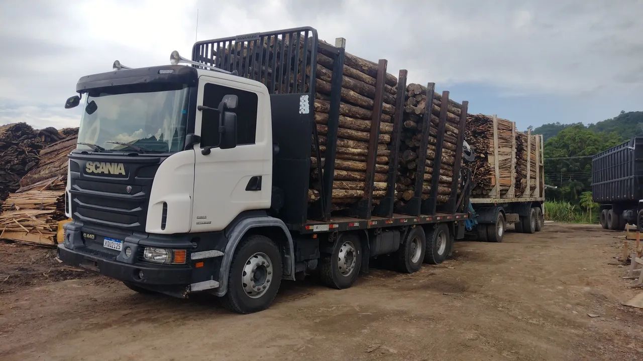Scania + munck N8 + Julieta  - Foto 5