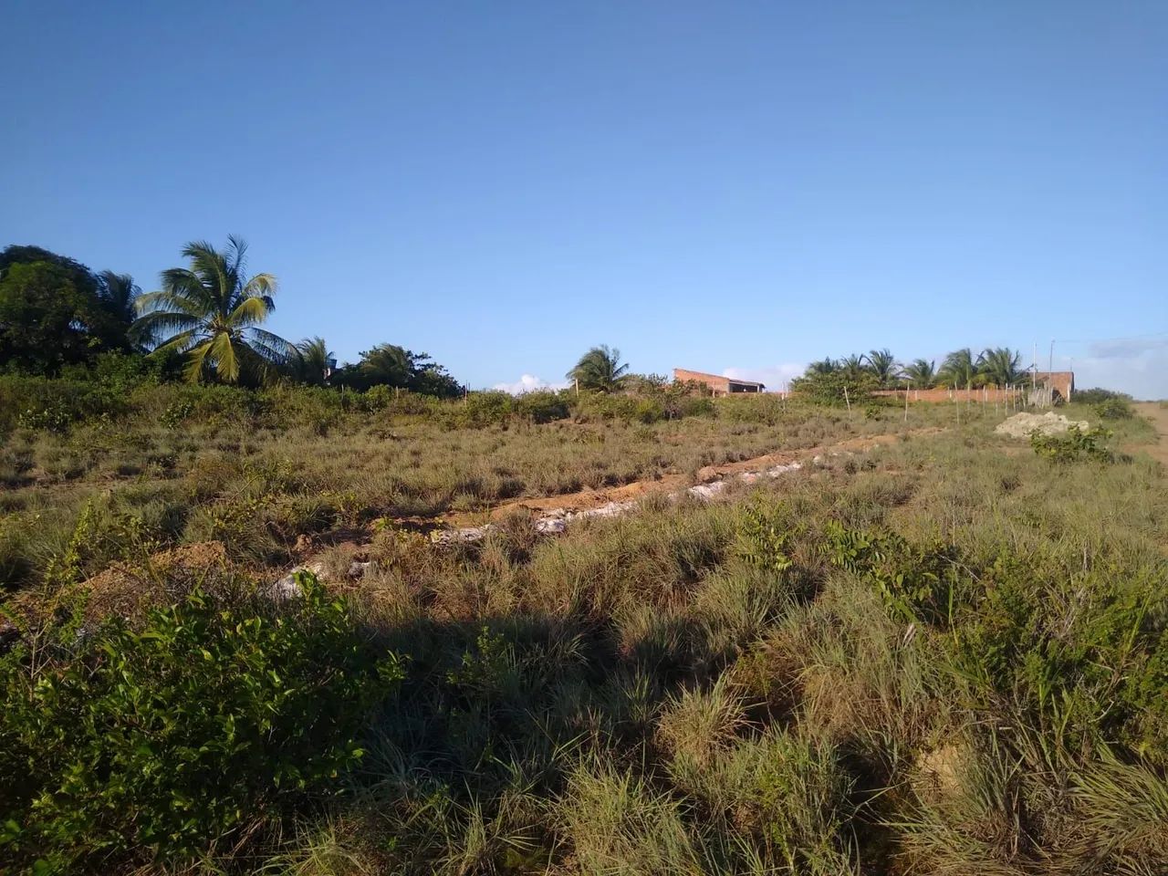 Vendo Área com 2200m2 em Gramame/ Praia do Sol há 200m do Mar  - Foto 5