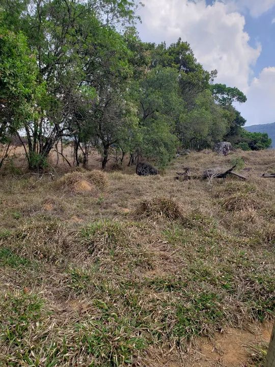 Vendo terreno de chacara em Caldas MG - Foto 12