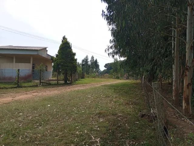 Área de terras com 5 Alqueires em Mandirituba - Foto 3