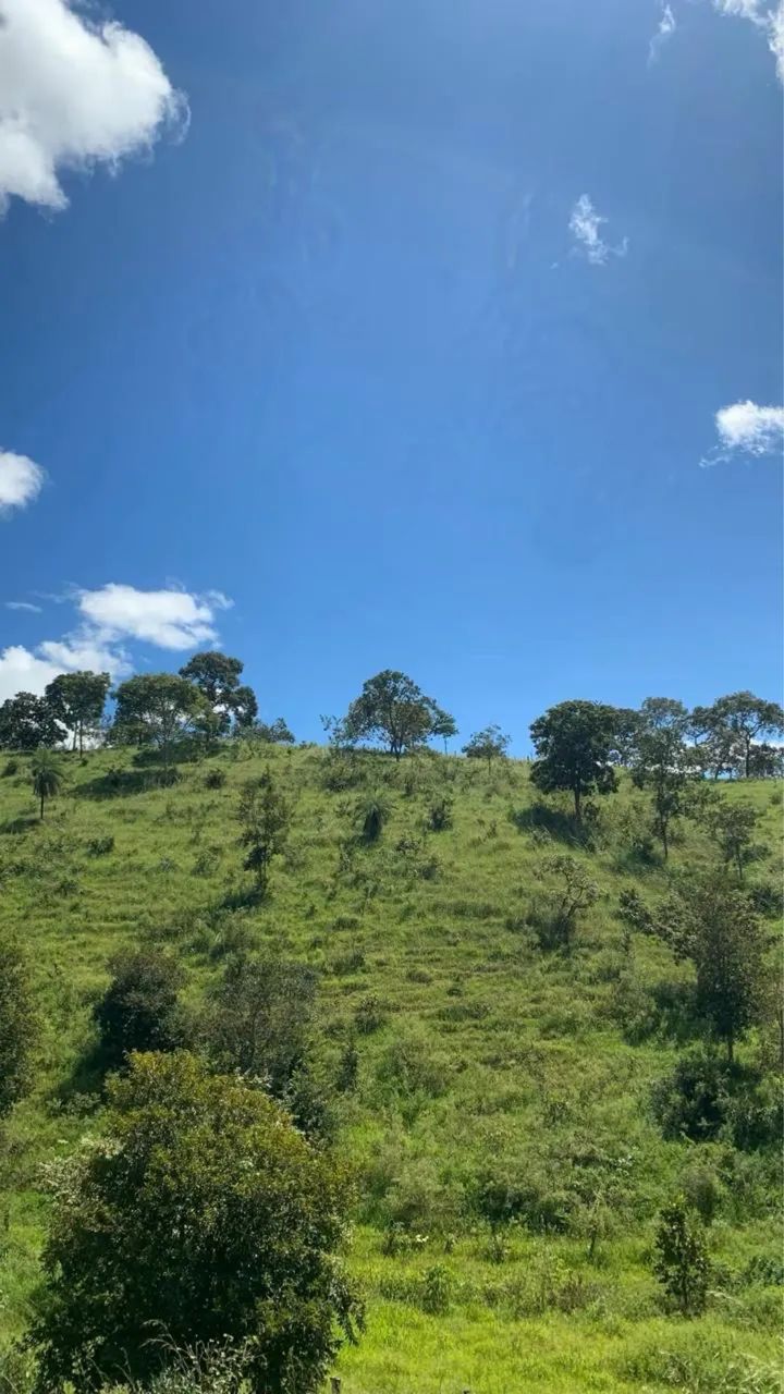 Fazenda a venda no município de URUAÇU Goiás  - Foto 6