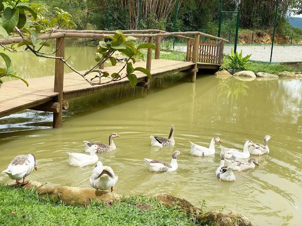 Chácara em Santo Amaro da Imperatriz